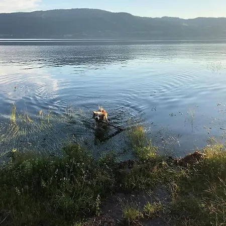 Fjara Sleeps 22 In 6 Bedrooms ヴィラ Ulven